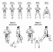 Image result for Types of Karate Kicks Aocc