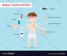 Image result for Dengue Fever Symptoms
