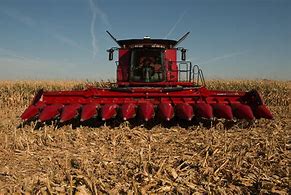 Image result for Case IH Combine Harvesting Corn