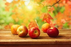 Image result for apples pick fall