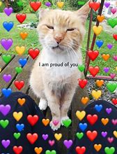 Image result for Proud of You Animal Meme