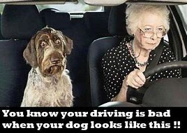 Image result for Memes About Bad Drivers