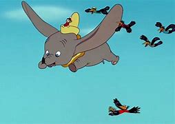 Image result for Bird Dumbo