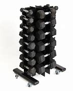 Image result for Dumbbell Rack with Wheels