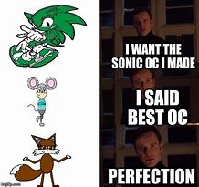 Image result for My Sonic OC Meme