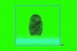 Image result for Fingerprint Mark