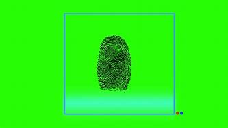 Image result for Capacitive Fingerprint Scanner