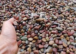 Image result for Pami Pebble
