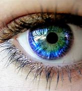 Image result for Rare Human Eye Color Chart