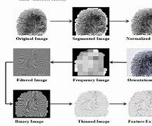 Image result for Fingerprint Processing