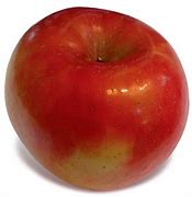 Image result for Apple Variety