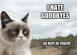 Image result for Sad Cat Goodbye Meme