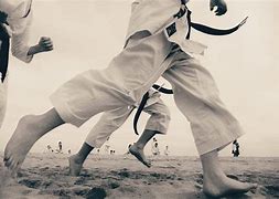 Image result for Beach Karate