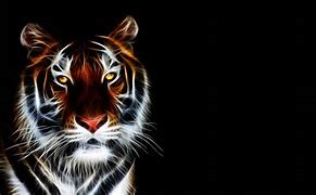 Image result for Animal Moving Wallpapers