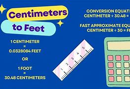 Image result for How Big Is 2 Centimeters in General