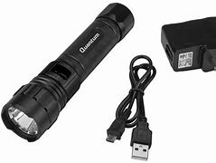 Image result for Quantum Flashlight Charger
