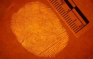 Image result for Orange Fingerprints