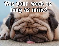 Image result for Cute Long Week Meme