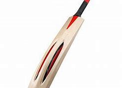 Image result for Big Cricket Bat