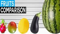 Image result for Fruit Size Chart