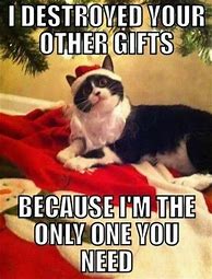 Image result for Christmas Eve Eve Meme