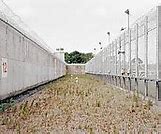 Image result for Long Kesh Prison Sean Kelly