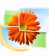 Image result for Photo Gallery App Windows 10 Download