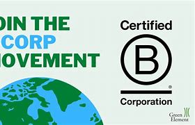 Image result for B Corp Categories
