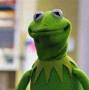 Image result for Kermit the Frog Grimace Face