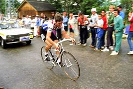 Image result for Sean Kelly Cycliste