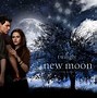Image result for What Comes After Twilight New Moon