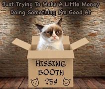 Image result for Grumpy Cat Work