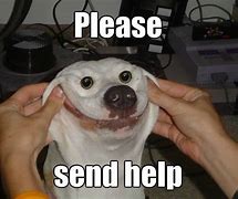 Image result for i need help memes