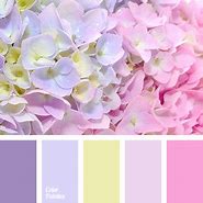 Image result for Pastel Pink and Yellow