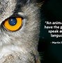 Image result for Animal Quotes by Famous People