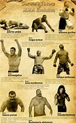 Image result for UFC Mixed Martial Arts Trophy Presenter