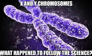 Image result for 21 Chromosome Meme