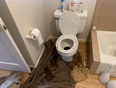 Image result for Overflowing Toilet Pic