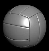 Image result for Volleyball Gym Structural Model 3D