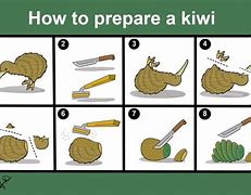 Image result for Kiwi Fruit Meme