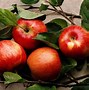 Image result for Can Die Apple Red Backgrounds