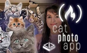 Image result for Step 15 Cat Photo App