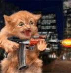 Image result for Cat Shooting AK GIF