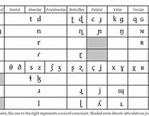 Image result for IPA Consonants