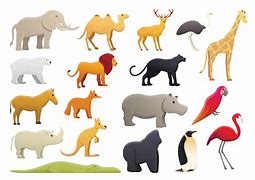 Image result for Zoo Icon
