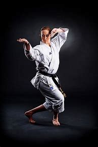 Image result for Karate Portraits