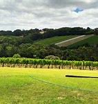 Image result for Tuck's Ridge Shiraz