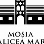 Image result for Mosia Galicea Mare Merlot Elegance