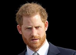 Image result for Prince Harry Has a Son