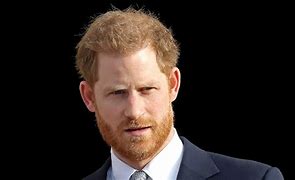 Image result for Harry the Prince 2022Zzzzz